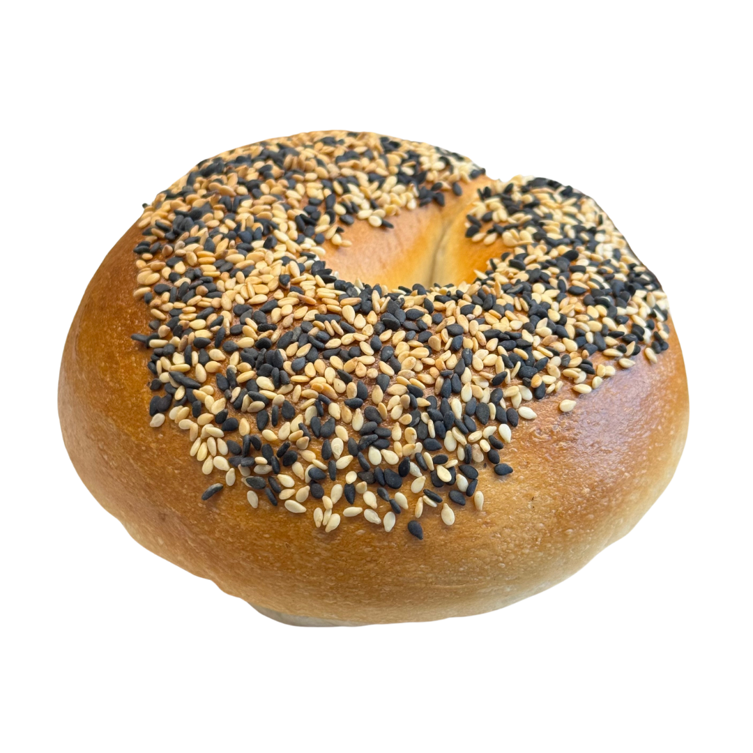 Sesame Bagel | 芝麻贝果