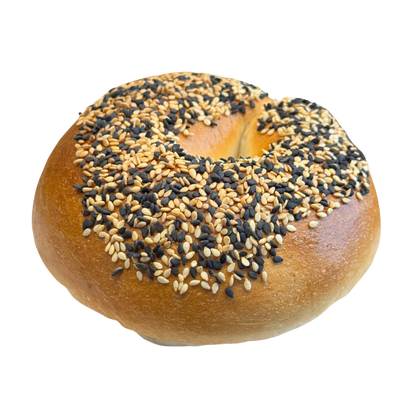 Sesame Bagel | 芝麻贝果